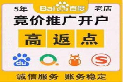 百度推广策略揭秘：某行业领头羊的成功经验